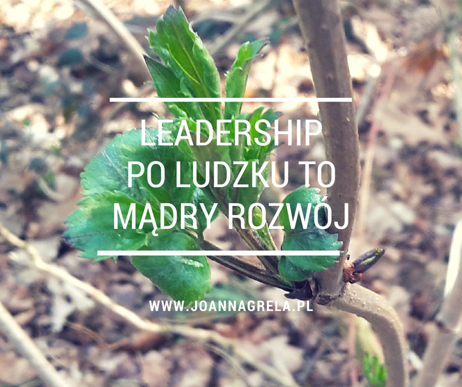 Leadership Leadership po ludzku