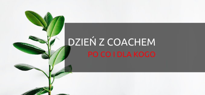 dzień z coachem z perspektywą dzień z coachem z perspektywą