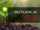 rezyliencja